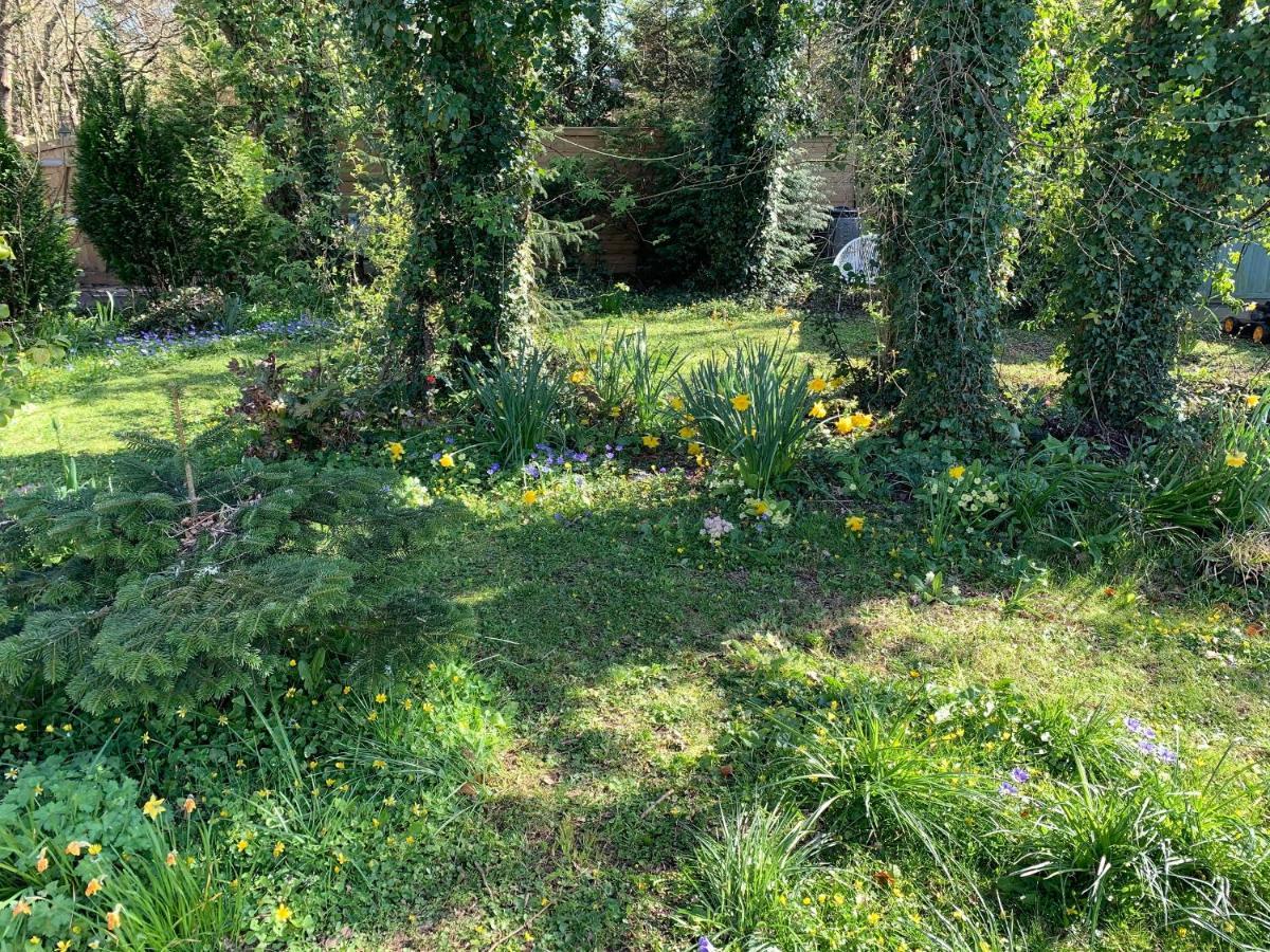 Castle View Annex Villa Wareham Dış mekan fotoğraf